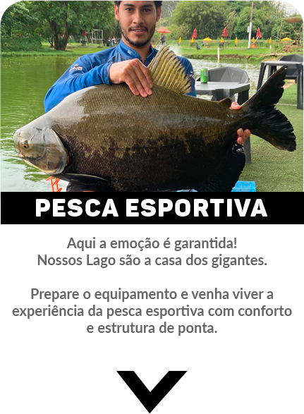 Pesca Esportiva